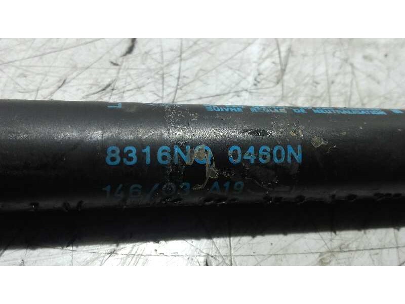 Recambio de amortiguadores maletero / porton para fiat stilo (192) 1.6 16v referencia OEM IAM 8316NQ0460N  