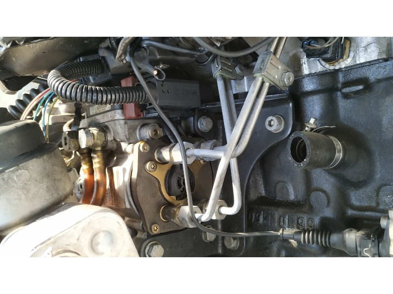 Recambio de motor para bmw serie 3 berlina (e46) 2.0 16v diesel cat referencia OEM IAM 204D1  