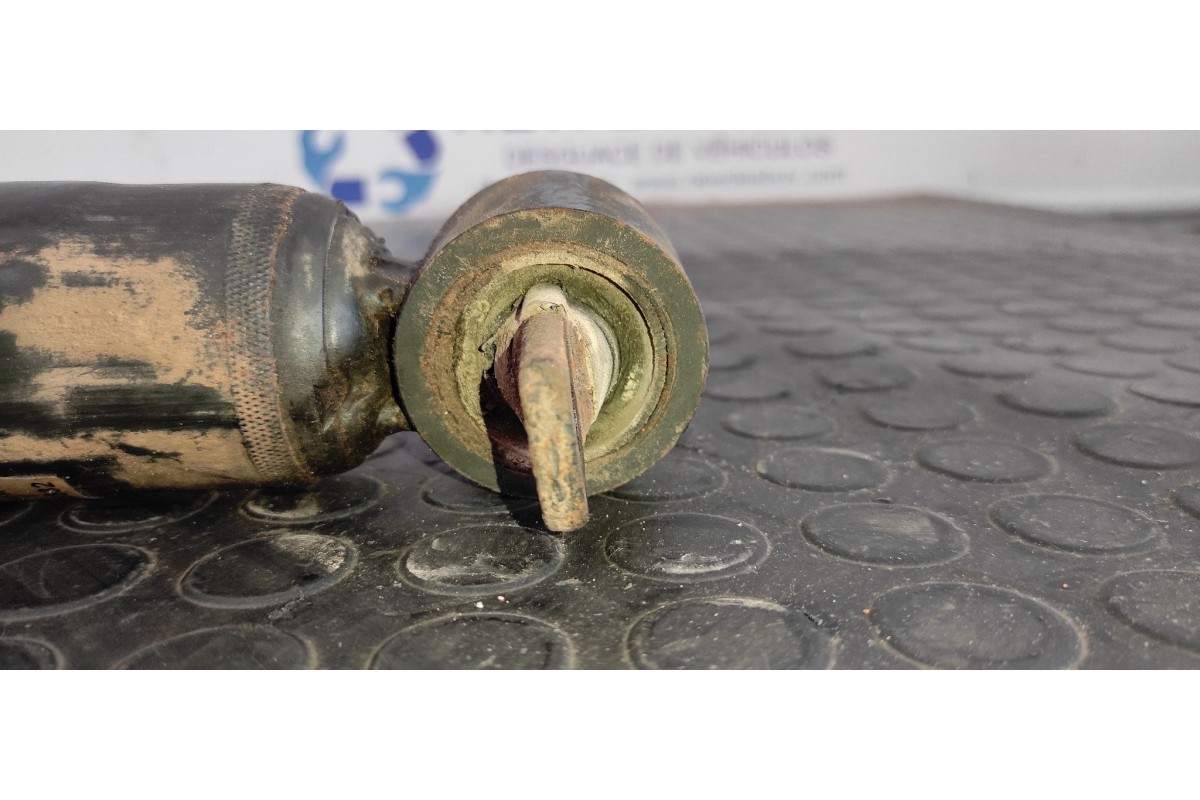 Recambio de amortiguador delantero izquierdo para land rover discovery (lt) 2.5 turbodiesel referencia OEM IAM RNB103532  