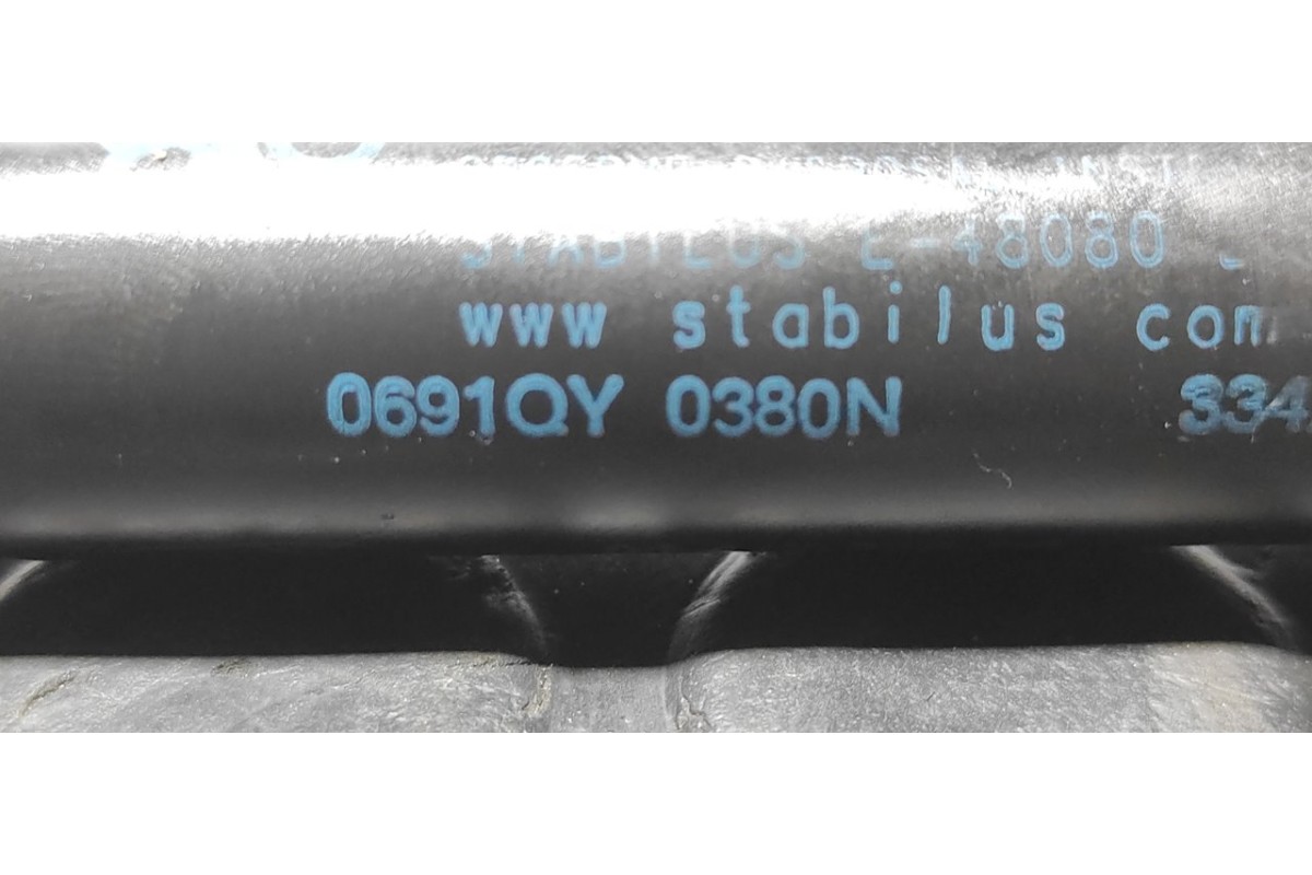 Recambio de amortiguadores maletero / porton para citroen c2 by loeb referencia OEM IAM 0691QY0380N  