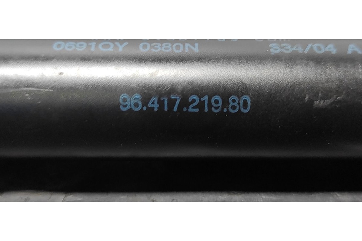 Recambio de amortiguadores maletero / porton para citroen c2 by loeb referencia OEM IAM 0691QY0380N  