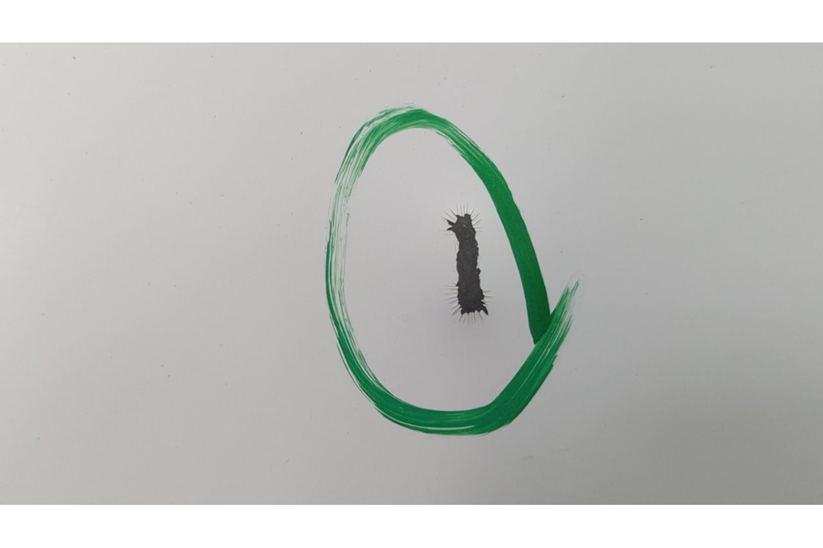 Recambio de puerta delantera derecha para citroen jumper caja abierta, doble cabina desde ´02 2.8 hdi cat referencia OEM IAM   