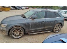 Recambio de puerta trasera izquierda para audi q5 (8r) q5 2.0 tdi referencia OEM IAM   