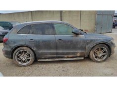 Recambio de puerta trasera derecha para audi q5 (8r) q5 2.0 tdi referencia OEM IAM   