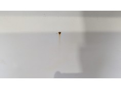 Recambio de puerta lateral corredera derecha para citroen jumper caja abierta (06.2006 =>) jumper 2.2 hdi referencia OEM IAM    2