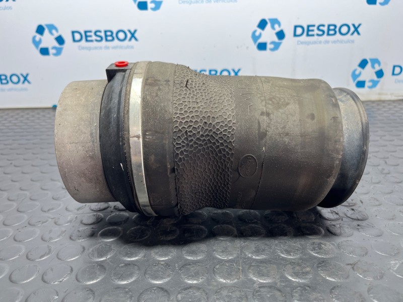 Recambio de balona neumatica trasera derecha para iveco daily vi caja/chasis 33s15, 35s15, 35c15 referencia OEM IAM 1GC17020  
