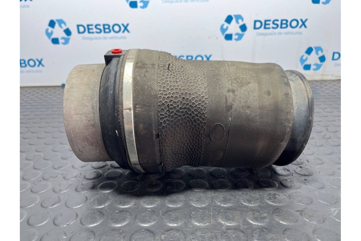 Recambio de balona neumatica trasera derecha para iveco daily vi caja/chasis 33s15, 35s15, 35c15 referencia OEM IAM 1GC17020  