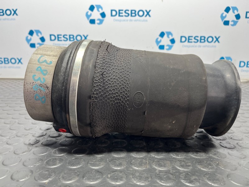 Recambio de balona neumatica trasera izquierda para iveco daily vi caja/chasis 33s15, 35s15, 35c15 referencia OEM IAM 1GC17020  