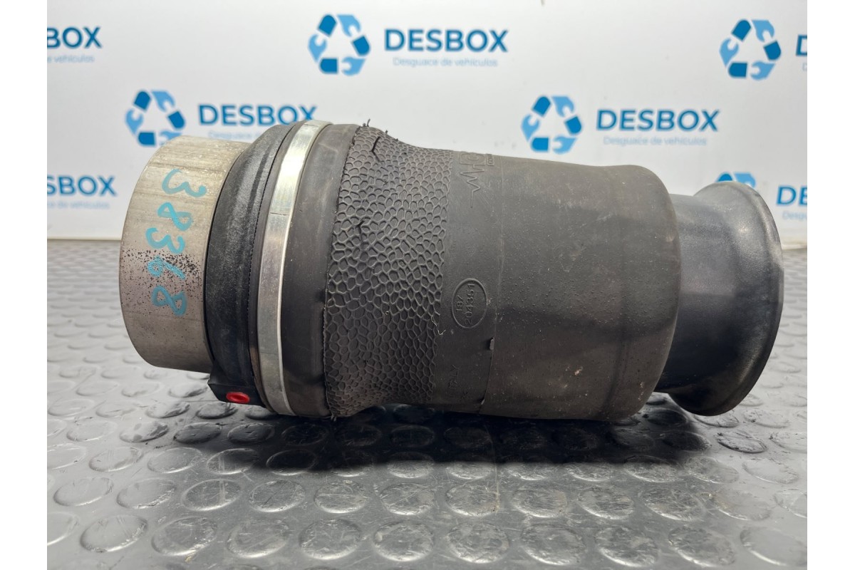 Recambio de balona neumatica trasera izquierda para iveco daily vi caja/chasis 33s15, 35s15, 35c15 referencia OEM IAM 1GC17020  