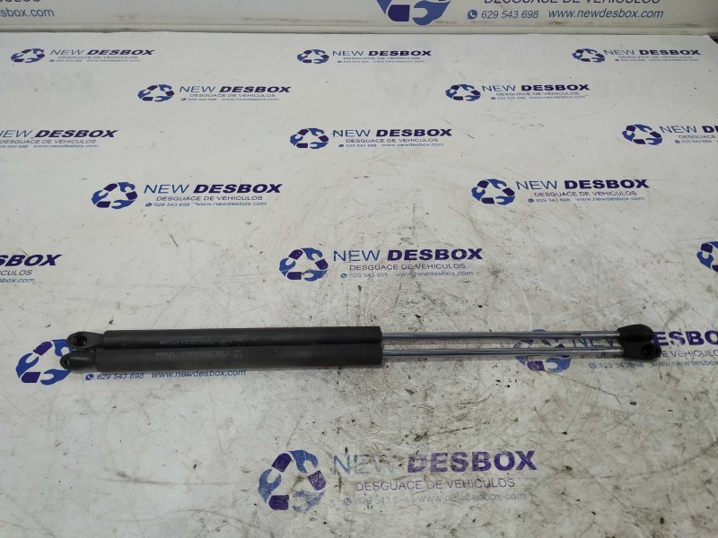 Recambio de amortiguadores maletero / porton para ligier nova ldw502 referencia OEM IAM RAYFLEX58823000  