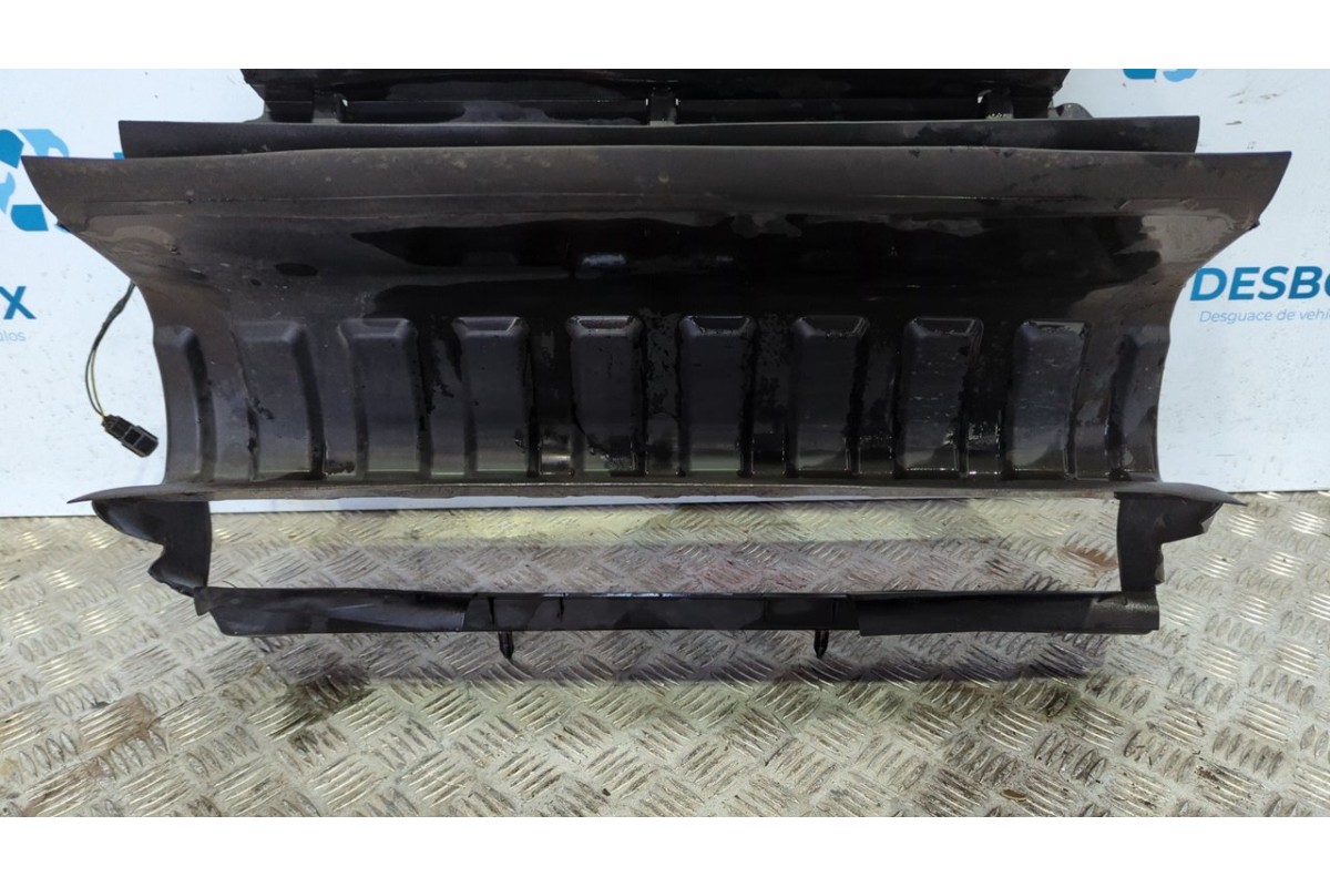 Recambio de calandra delantera de radiador para land rover range rover sport v8 td edition 60 yrs referencia OEM IAM DXJ500121  