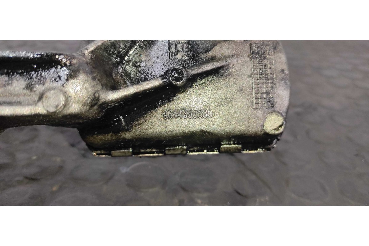Recambio de bomba aceite para citroen c4 grand picasso 2.0 hdi fap cat (rhr / dw10bted4) referencia OEM IAM 9431291021  