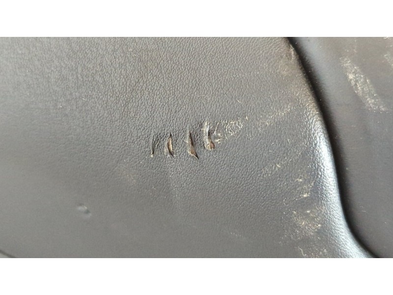 Recambio de guarnecido puerta trasera derecha para land rover range rover sport autobiography limited edition referencia OEM IAM